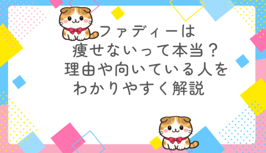 ファディーは痩せないって本当？理由や向いている人をわかりやすく解説